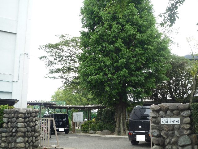 昭島市立成隣小学校