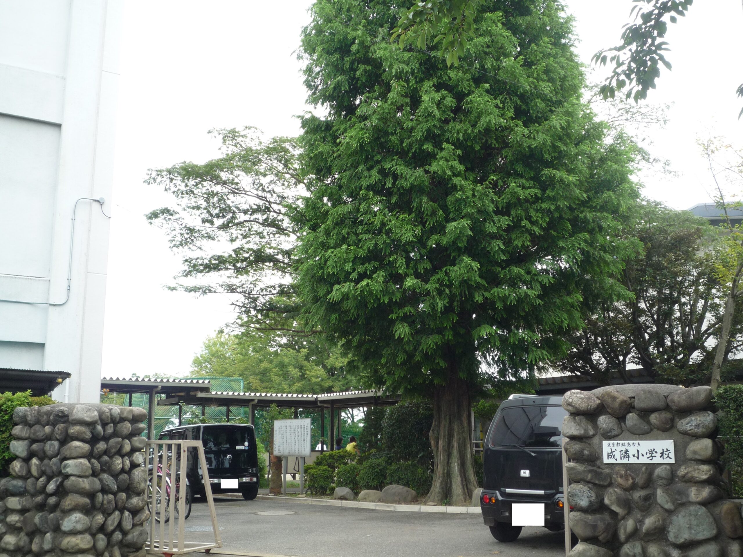 昭島市立成隣小学校